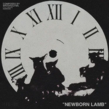Newborn Lamb