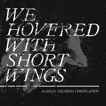 We Hovered With Short Wings by Various Artists - album cover