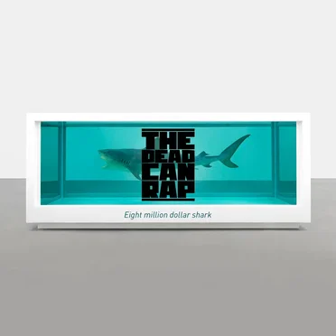 Eight million dollar shark