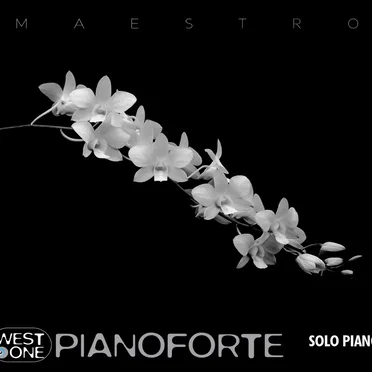 Pianoforte by Various Artists - album cover