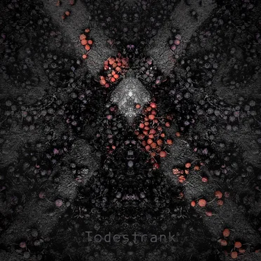 Apoptose