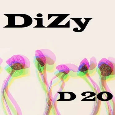 D 20