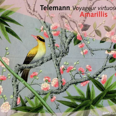 Virtuoso Traveller: Duet and Trio Sonatas