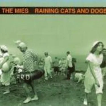 Raining Cats and Dogs