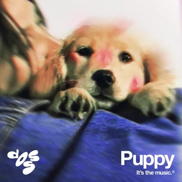 Puppy by Doss - album cover
