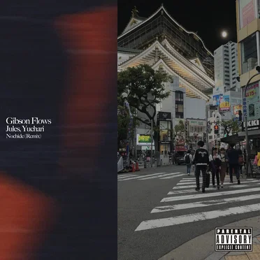 Nochide (remix) by Gibson Flows - album cover