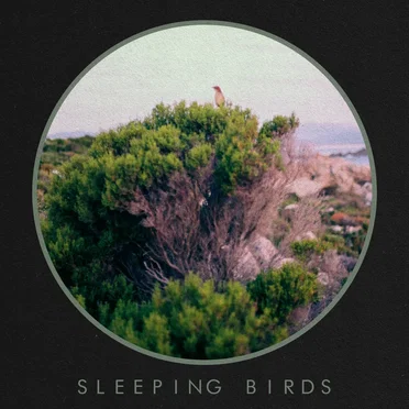 Sleeping Birds by Kinsun - album cover