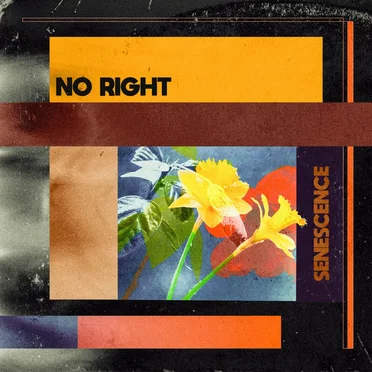 Senescence by No Right - album cover