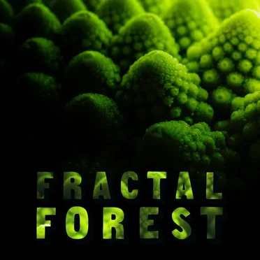 Fractal Forest by Selulance - album cover