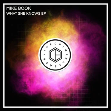 What She Knows by Mike Book - album cover