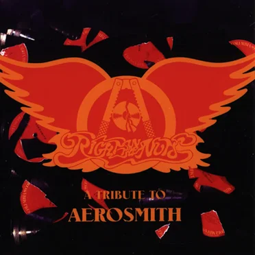 Right in the Nuts: A Tribute to Aerosmith by Various Artists - album cover