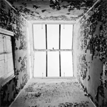 #501: The View From in Here by This American Life - album cover