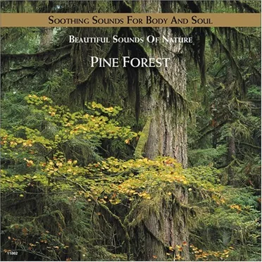 Pine Forest