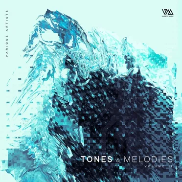 Tones & Melodies (Volume 11) by Various Artists - album cover