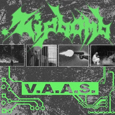 V.A.A.S