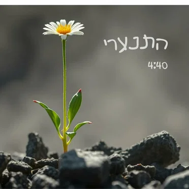 התנערי