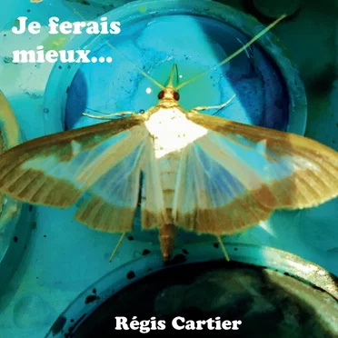 je ferais mieux...