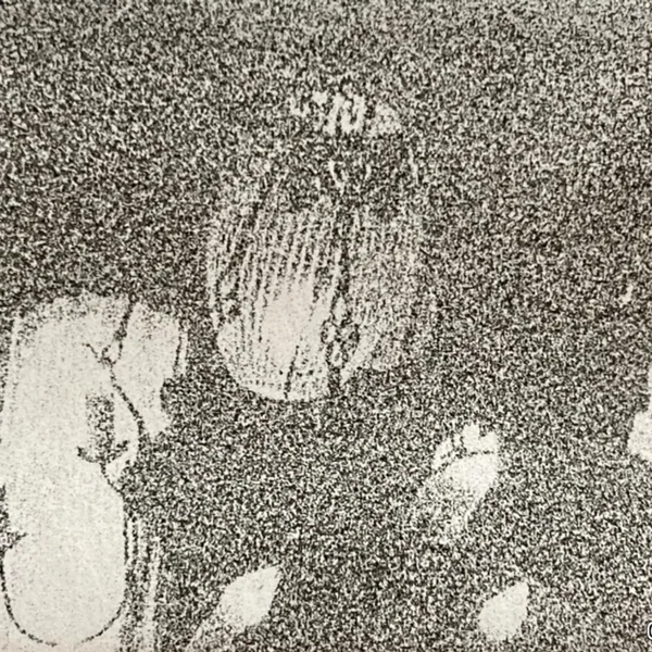盲目であるが故のTHE統一感