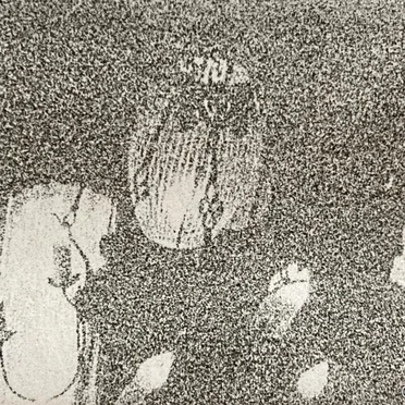盲目であるが故のTHE統一感