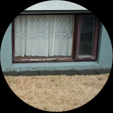 An Ecology of Silence