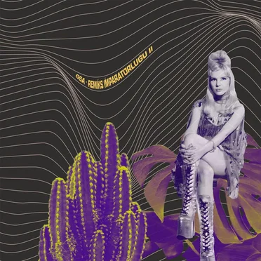 Remiks İmparatorluğu II by Gaye Su Akyol - album cover