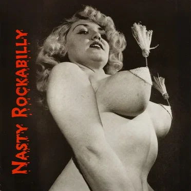 Nasty Rockabilly: The Box! by Various Artists - album cover