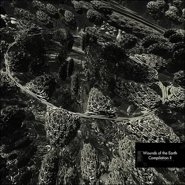 Wounds of the Earth Compilation II by Various Artists - album cover