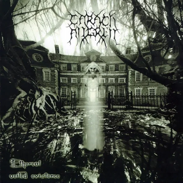 Ethereal Veiled Existence