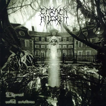Ethereal Veiled Existence