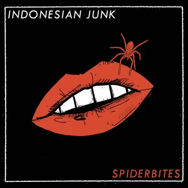 Spiderbites by Indonesian Junk - album cover