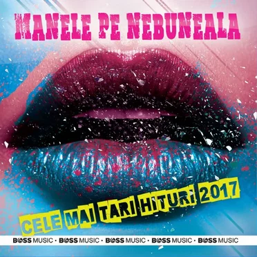 Manele pe nebuneală - Cele mai tari hituri 2017 by Various Artists - album cover