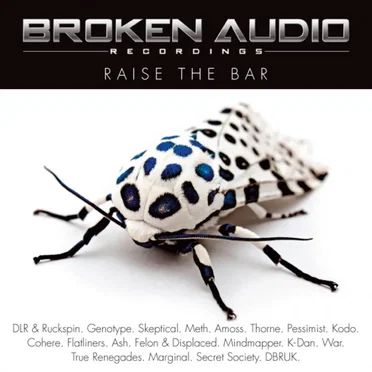 Raise the Bar by Various Artists - album cover