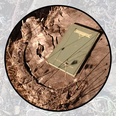 Moonlit Missive #113: 'A Farewell'