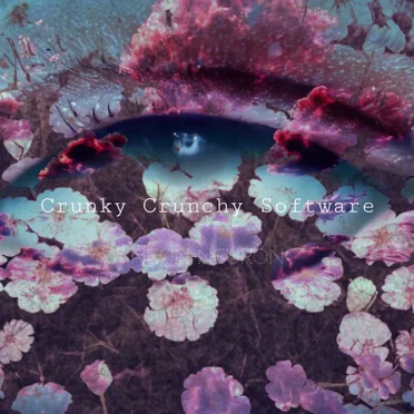Crunky Crunchy Software by ネオンネウロン - album cover