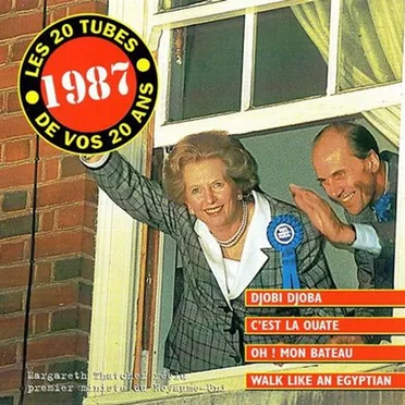 Les 20 Tubes de vos 20 ans : 1987 by Various Artists - album cover