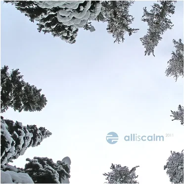 all|is|calm 2011 by Various Artists - album cover