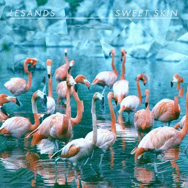 Sweet Skin by Lesands - album cover