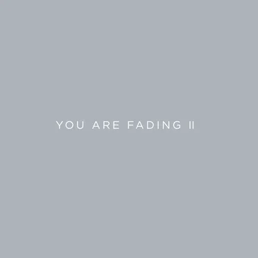 You Are Fading, Vol. 2 (bonus Tracks 2005 - 2010)