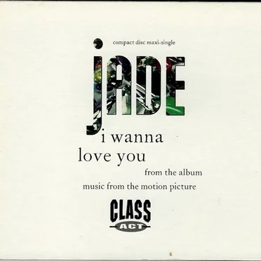 I Wanna Love You