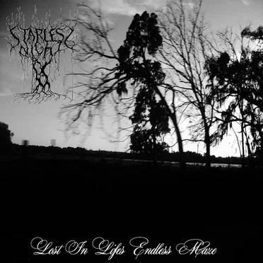 Lost in Life's Endless Maze by Starless Night - album cover