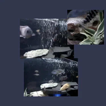 [y5sws-NAbrI] | [628x471]