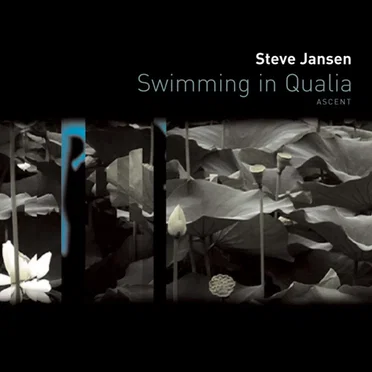Swimming in Qualia by Steve Jansen - album cover