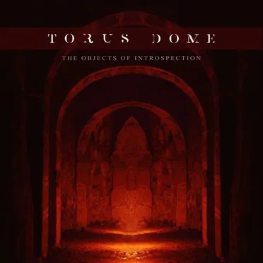 The Objects of Introspection by Torus Dome - album cover
