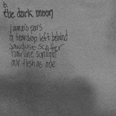 The Dark Moon by Black Tape for a Blue Girl - album cover