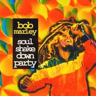 Soul Shakedown Party