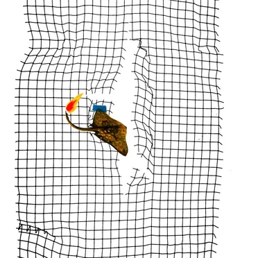 Ma république