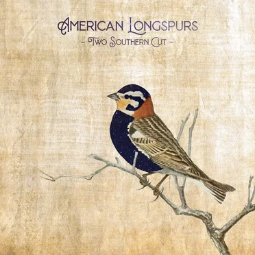 Two Southern Cut by American Longspurs - album cover