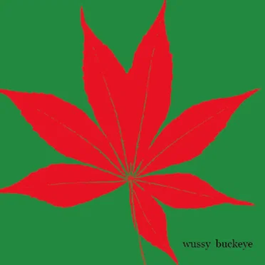 Buckeye by Wussy - album cover