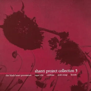 Shanti Project Collection 3 by Various Artists - album cover