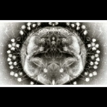 Phage by Phage - album cover